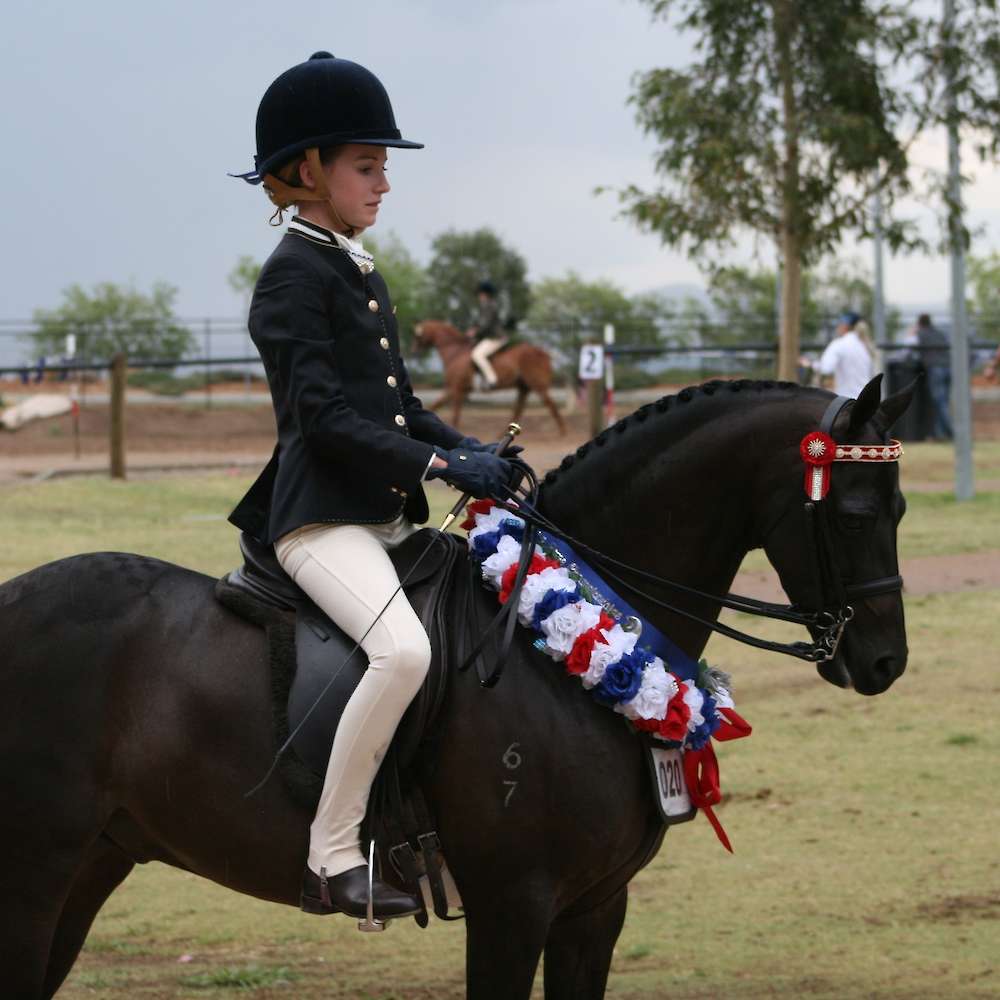 Child's Pony winner at NSW Country Hack Championships with Emily Myers on board.