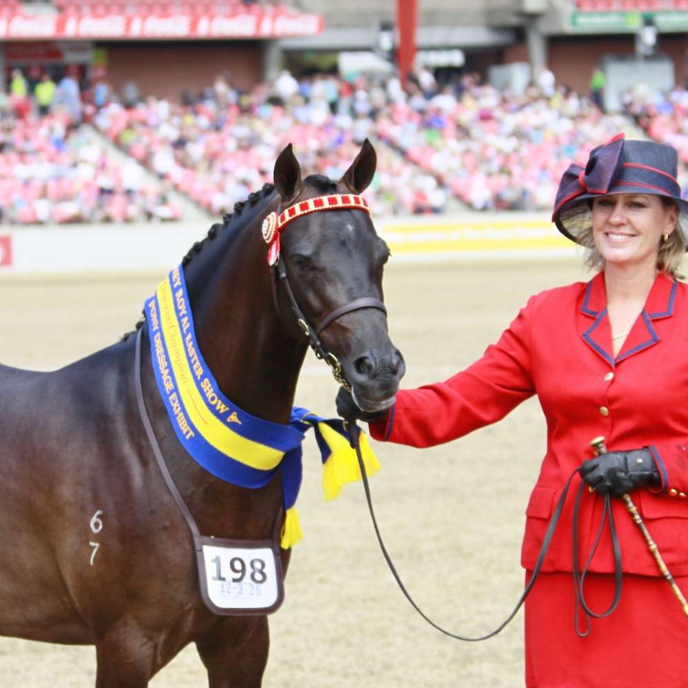 Reserve Champion at Sydney Royal