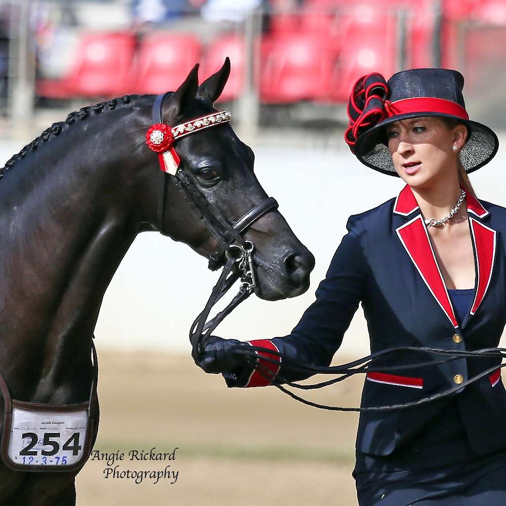Mikhaila and Neon at Sydney Royal