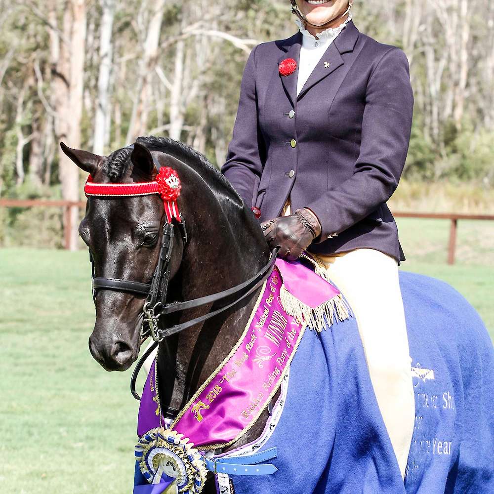Ridden Riding Pony Show Pony of the Year - National Pony of Year Show