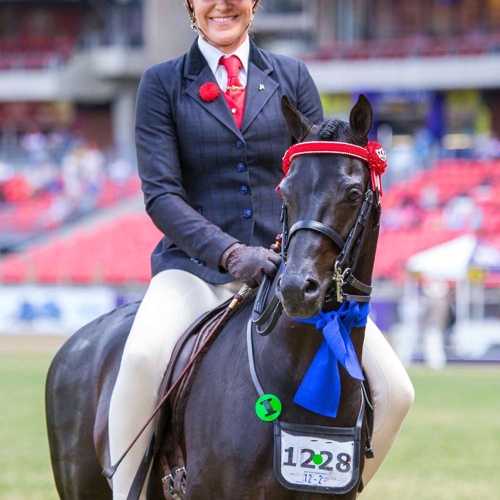 Winner under saddle, Sydney Royal Easter Show.