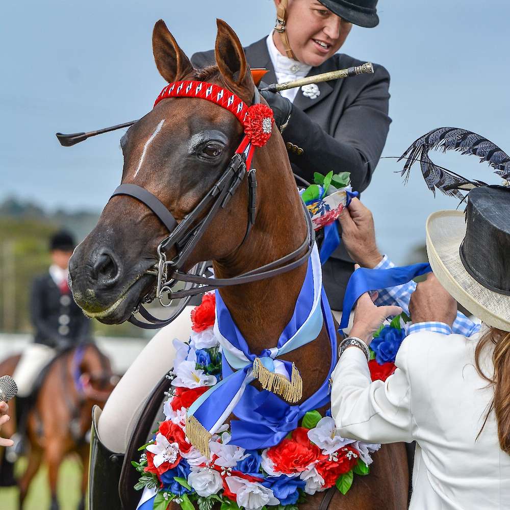 Carlingford Park Double Take