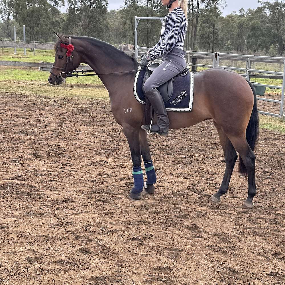 June 2026 - Just starting her saddle career