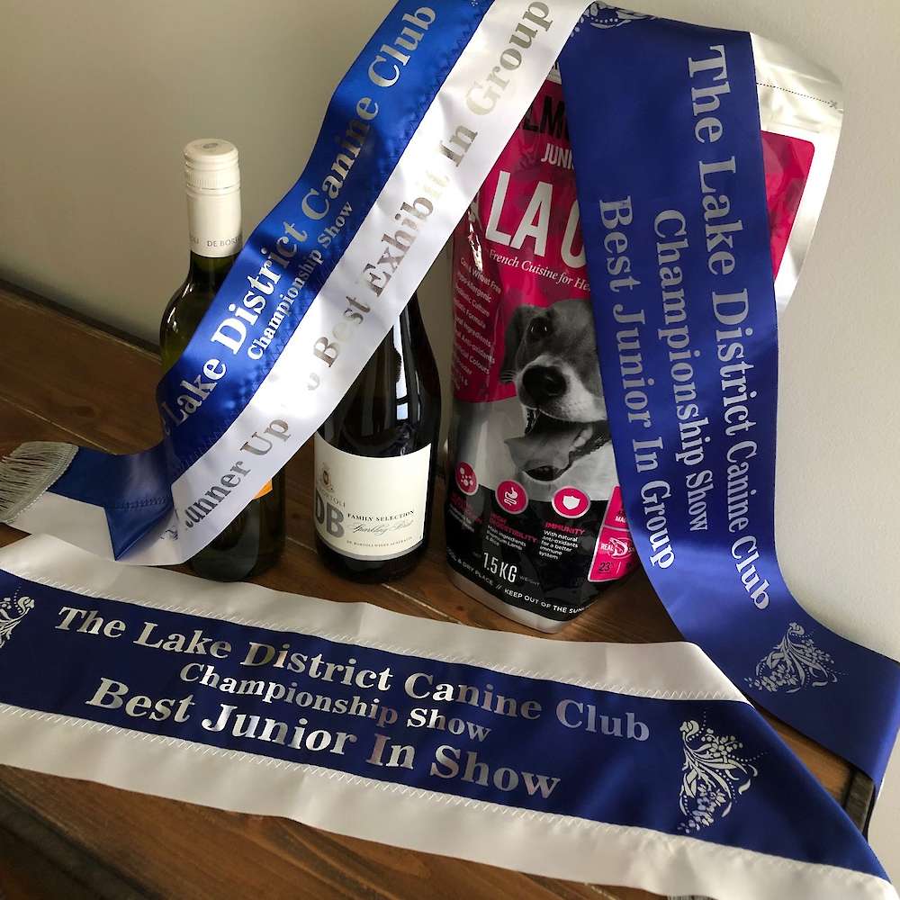 Gretel - Best of Breed, Runner-up in Group, Junior In Group & Junior In Show