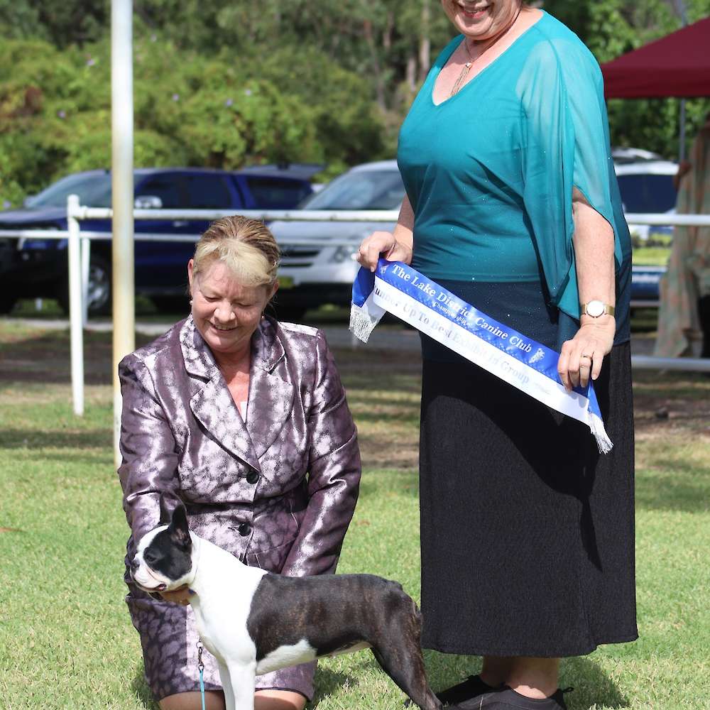 Gretel - Best of Breed, Runner-Up In Group & Junior in Show