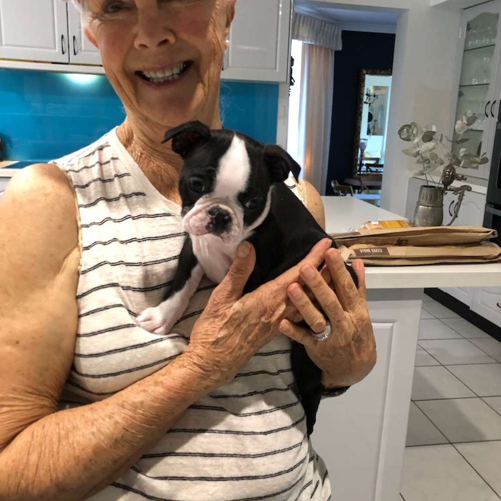 A very patient Joceyln who waited over a year for her new family member Mika. It is very satisfying knowing Mika has filled a broken heart and brought a smile to a beautiful lady's face.