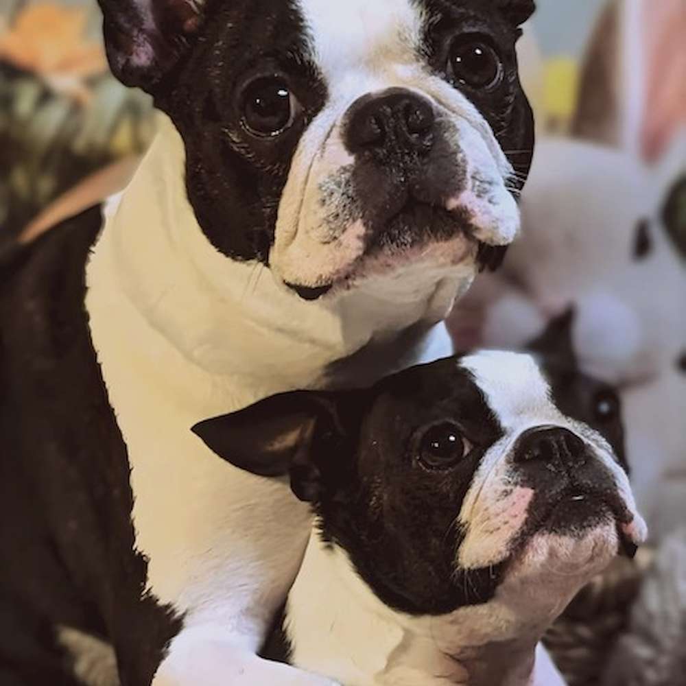 At Home with Gucci & Tinkerbelle