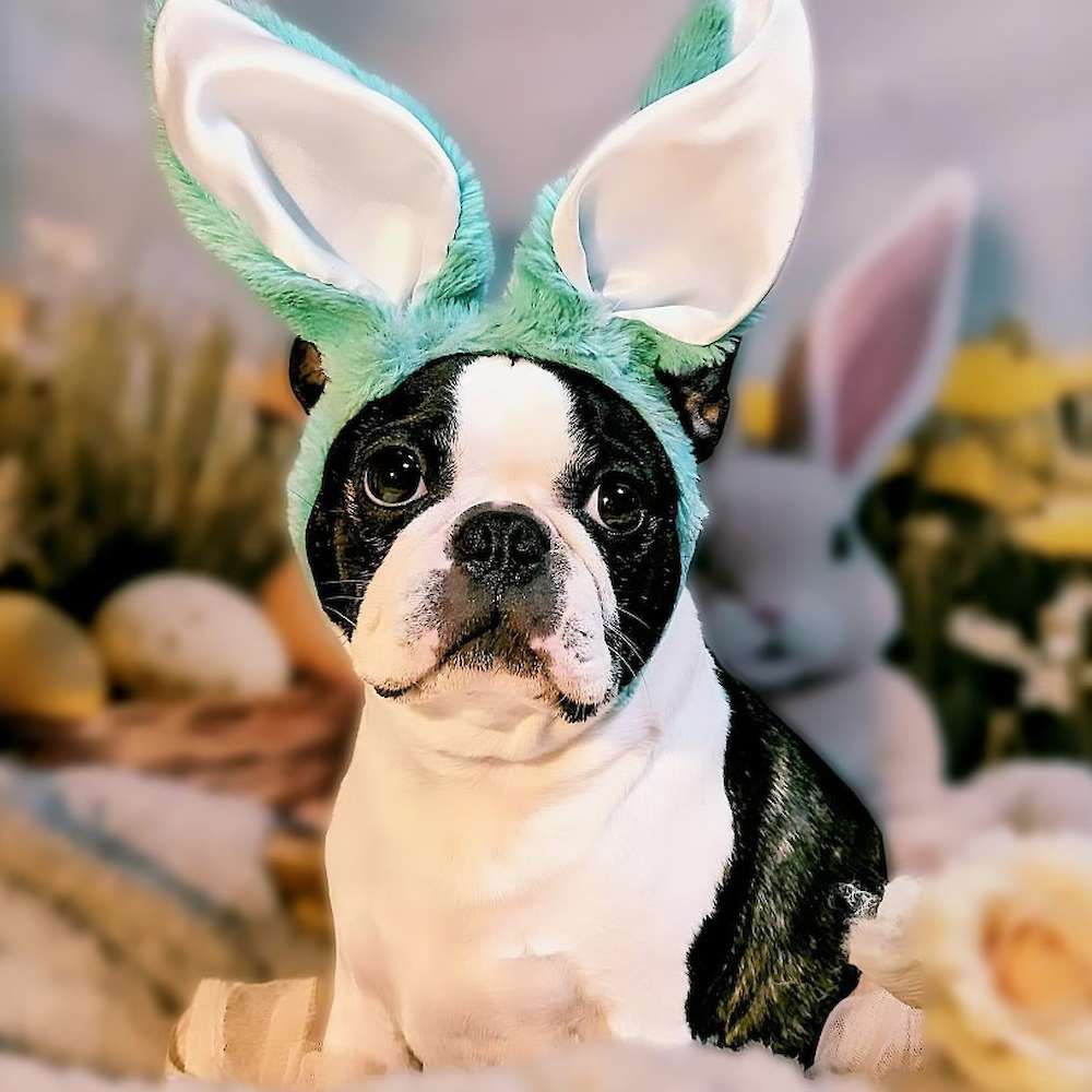 Happy Easter to one and all