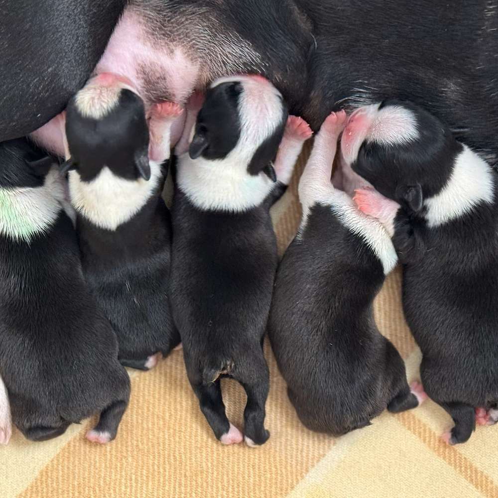 Welcome Little Ones
