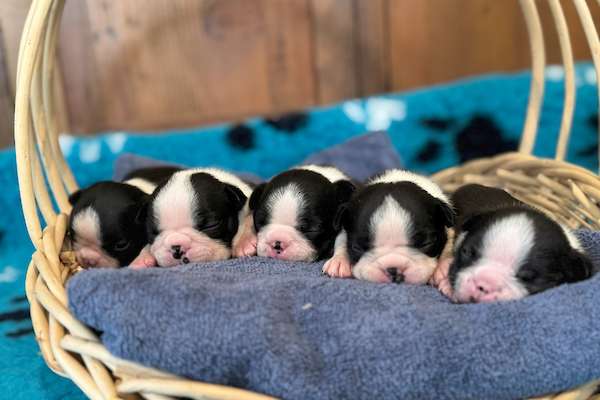Welcome Little Ones!