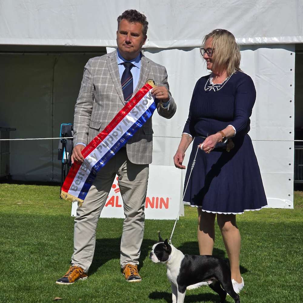 Tully's Show Debut
