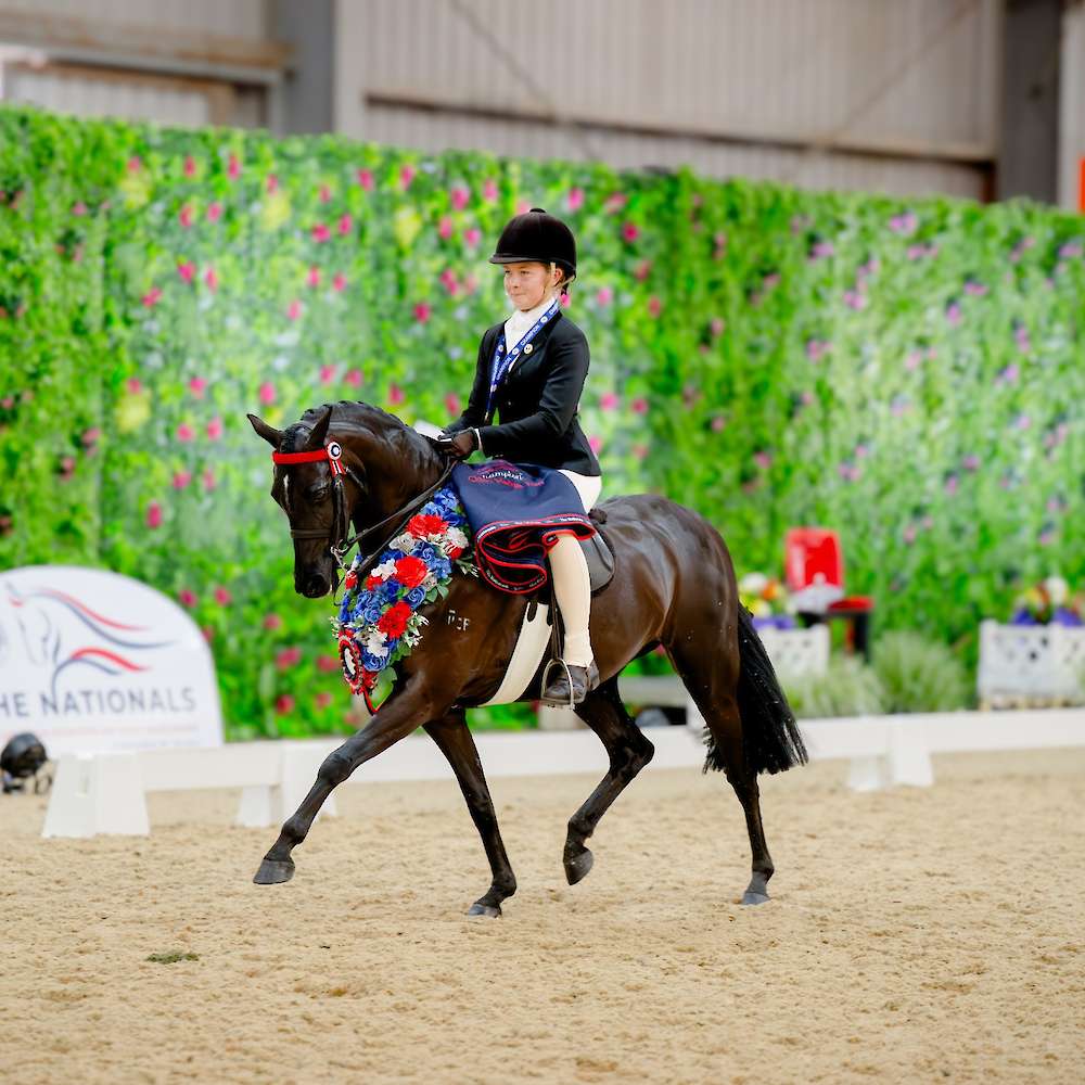 Wow, Wow, Wow - Celeste you are a Star!