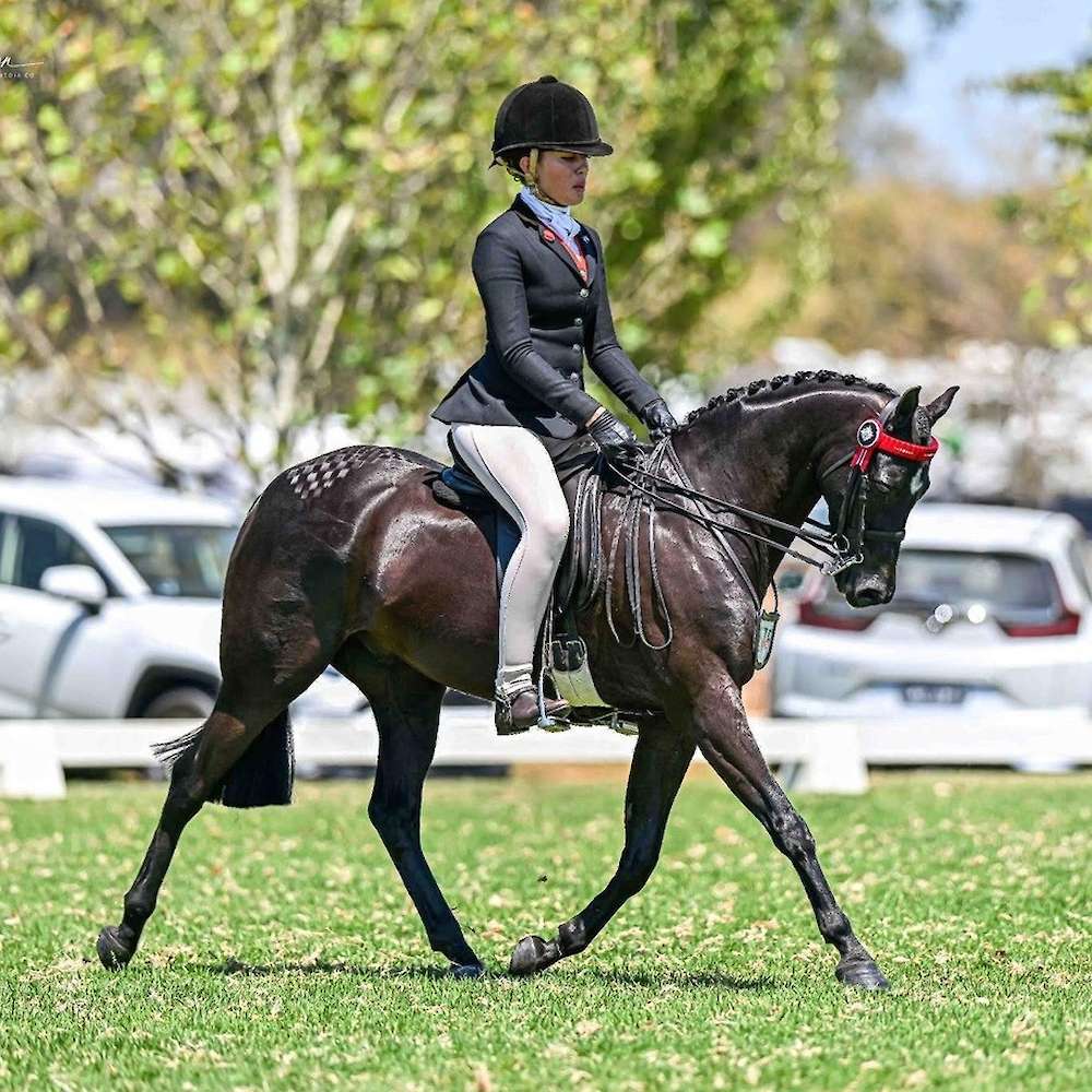 Congratulations Rossini's boy Master Rossi