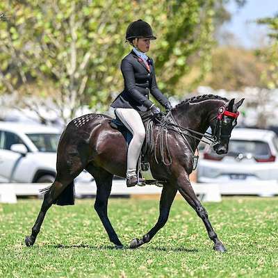 Congratulations Rossini's boy Master Rossi