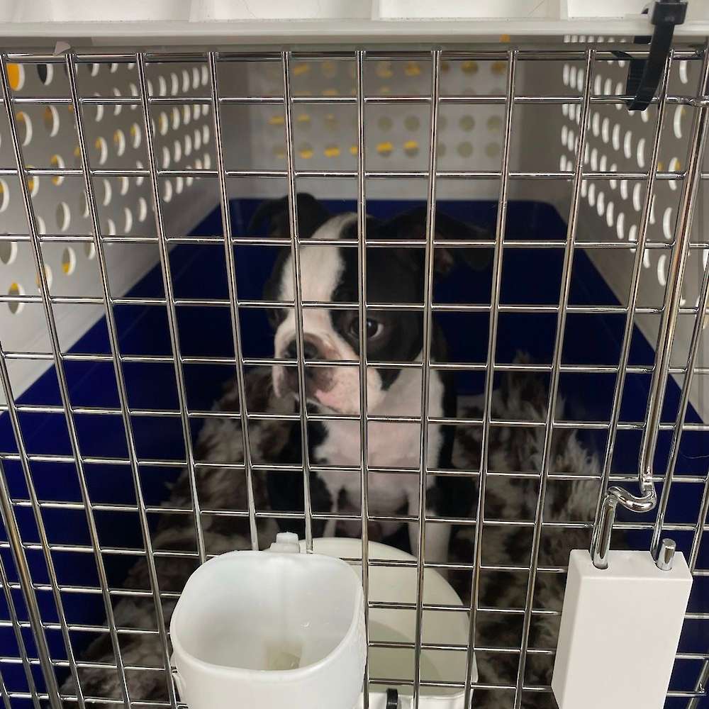 Checked in at Kingsford Smith Airport... bye bye Ozzy. See you on the other side xxx