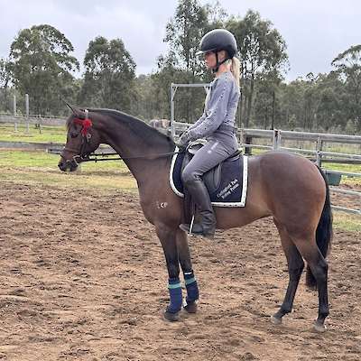 Diamond starts under saddle